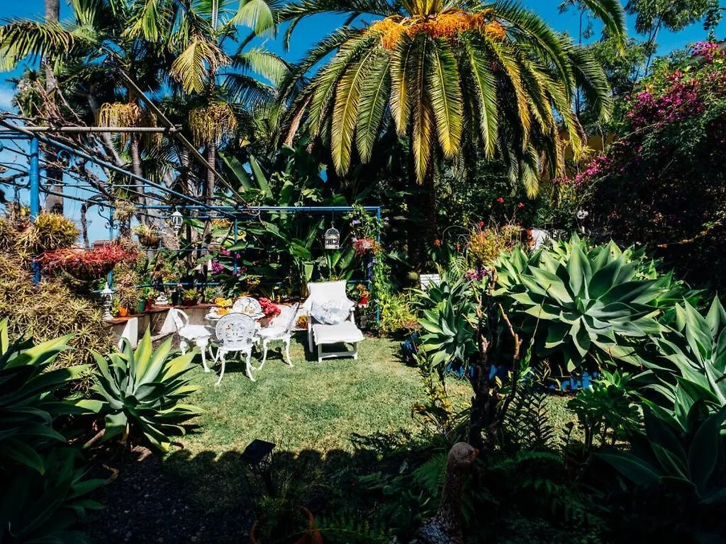Casa Martin On The Finca Angel Santa Ursula  Apartment Santa Ursula (Tenerife)
